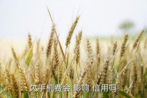 欠手机费会 影响 信用吗