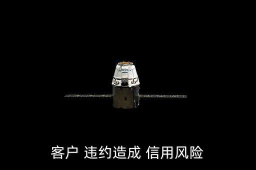 客户 违约造成 信用风险