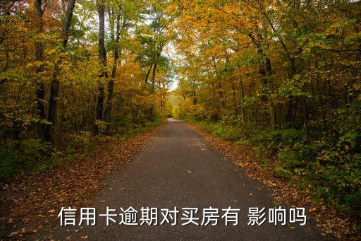  信用卡逾期对买房有 影响吗