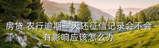 房贷 农行逾期一天还征信记录会不会有影响应该怎么办