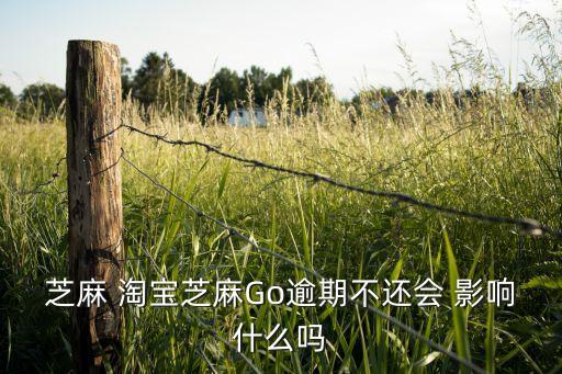 芝麻 淘宝芝麻Go逾期不还会 影响什么吗