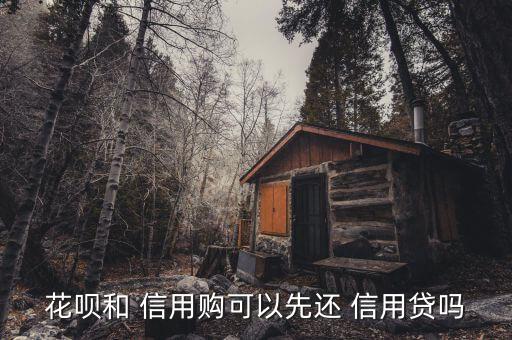 花呗和 信用购可以先还 信用贷吗