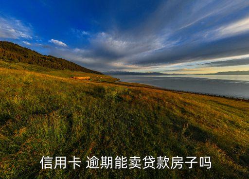  信用卡 逾期能卖贷款房子吗