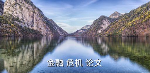 金融 危机 论文