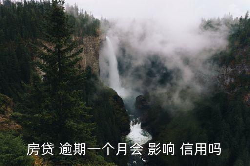 房贷 逾期一个月会 影响 信用吗