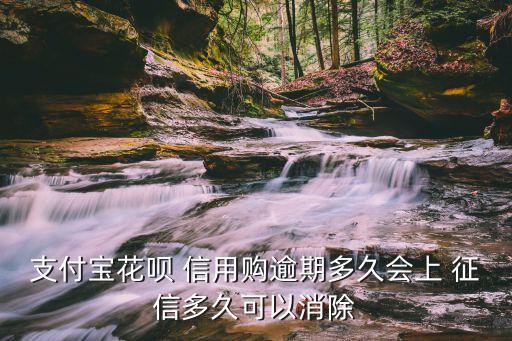 信用购影响征信,网贷平台信用购房分期不可用征信