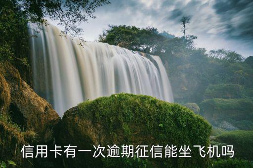  信用卡有一次逾期征信能坐飞机吗