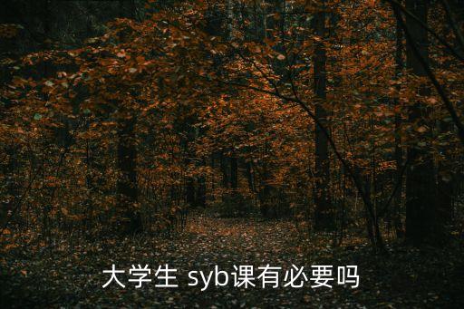 大学生 syb课有必要吗