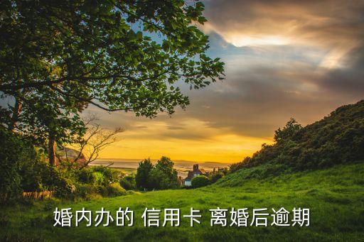 婚内办的 信用卡 离婚后逾期