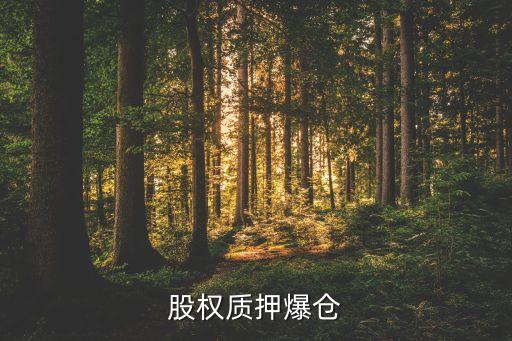 股权质押爆仓
