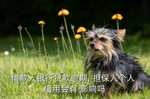 借款人银行贷款逾期, 担保人个人 信用会有 影响吗