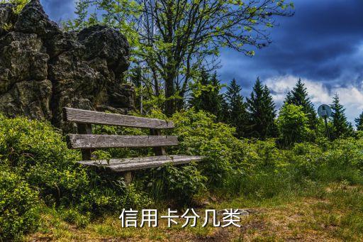 信用卡类型，信用卡都有哪些种类哪些区别