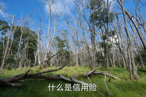 什么是信用险
