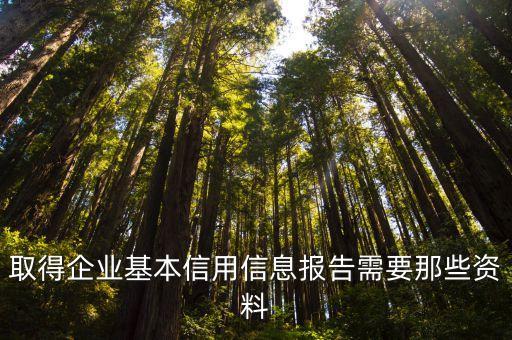 取得企业基本信用信息报告需要那些资料