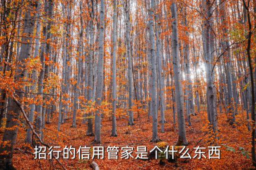招行的信用管家是个什么东西