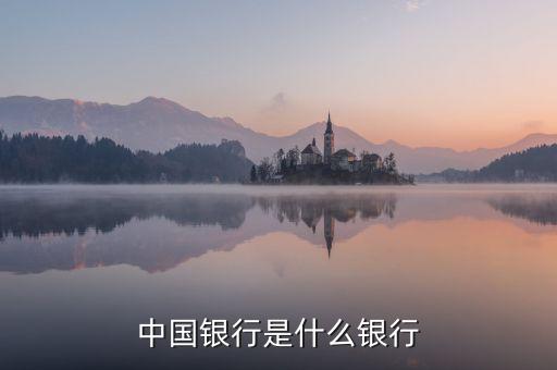 中国银行是什么银行