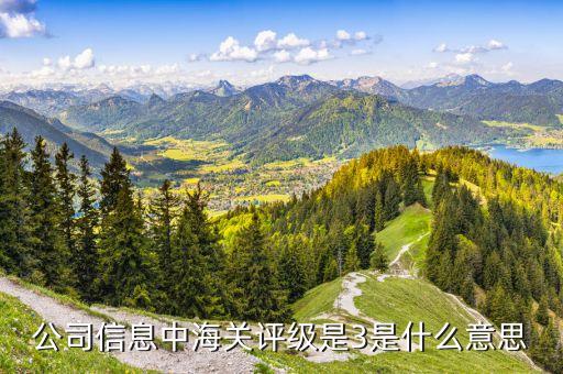 公司信息中海关评级是3是什么意思