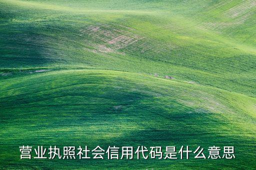 营业执照社会信用代码是什么意思
