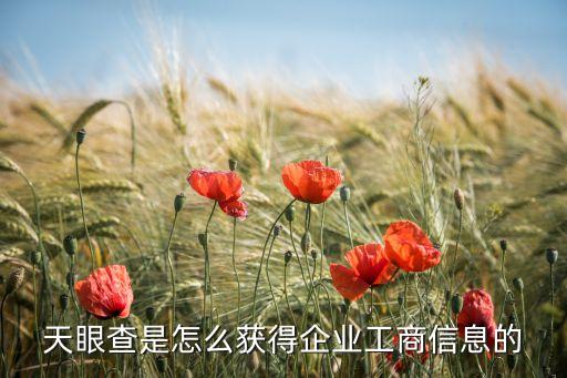天眼查是怎么获得企业工商信息的