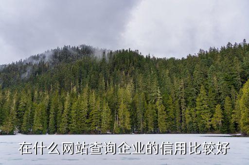 在什么网站查询企业的信用比较好