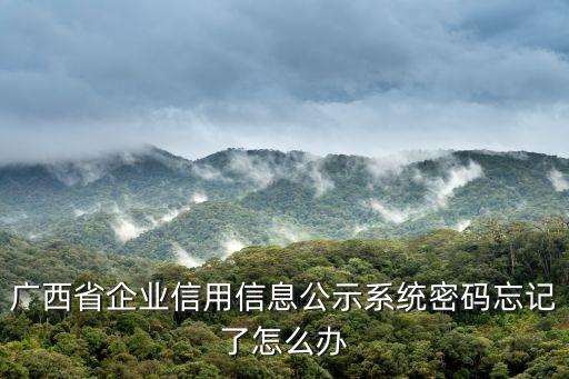企业信用信息密码是什么，工商局档案部有企业年报吗