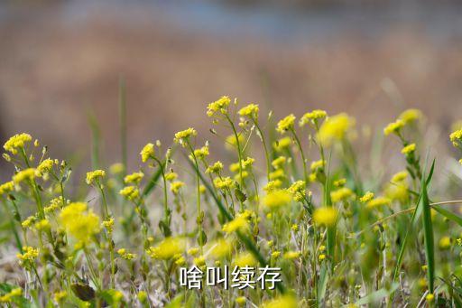 续存，存折里面续存是什么意思自动转存吗