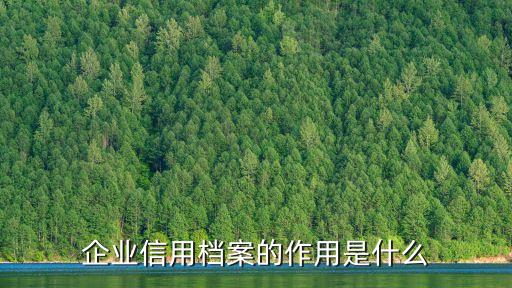 企业信用档案的作用是什么