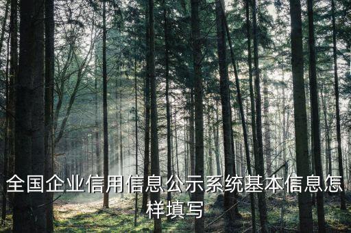 全国企业信用信息公示系统基本信息怎样填写