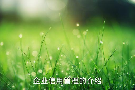 企业信用管理的介绍