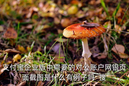企业信用截图是什么意思，支付宝企业版中需要的对公账户网银页面截图是什么有例子吗  搜