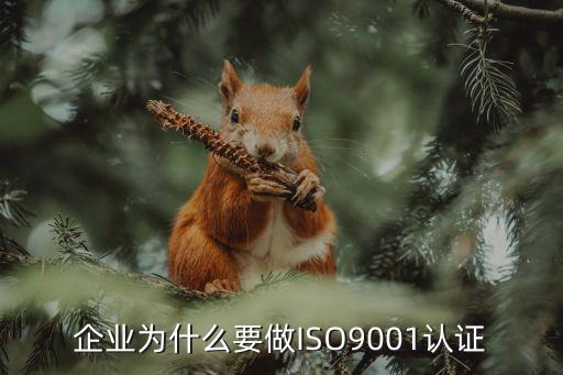 企业为什么要做ISO9001认证