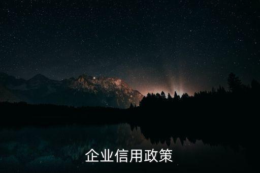 企业信用政策