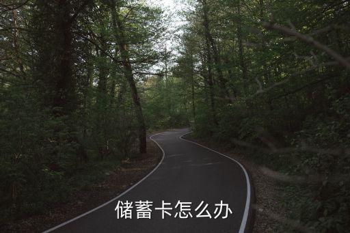 储蓄卡怎么办