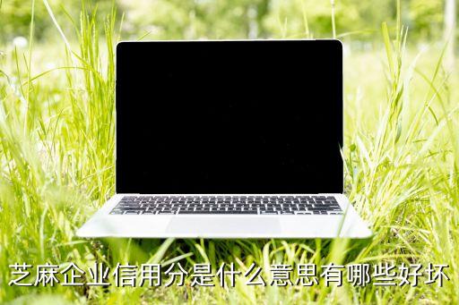 芝麻企业信用分是什么意思有哪些好坏
