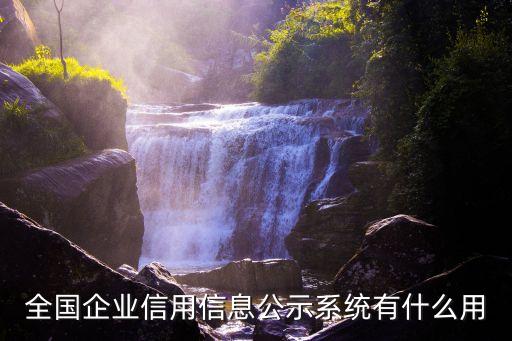 全国企业信用信息公示系统有什么用