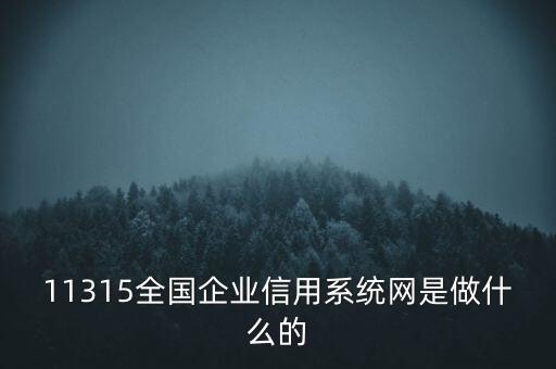 11315全国企业信用系统网是做什么的