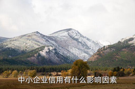 中小企业信用有什么影响因素