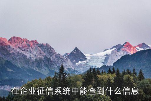 在企业征信系统中能查到什么信息