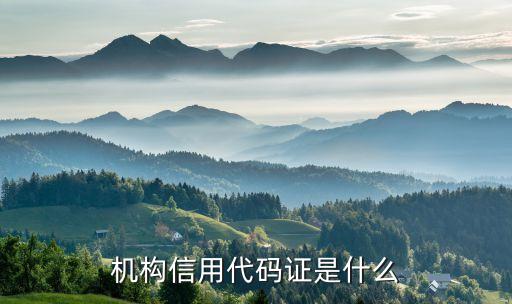 机构信用代码证是什么