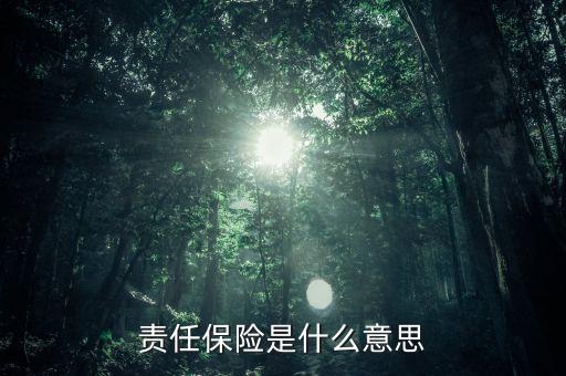 责任保险是什么意思