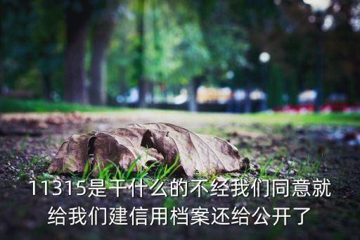 企业信用画像推送什么意思，企业信用的介绍