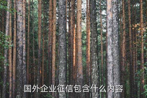 国外企业征信包含什么内容