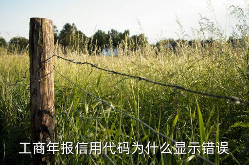 工商年报信用代码为什么显示错误