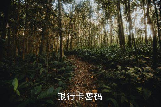 银行卡密码，银行卡的密码是多少位数字