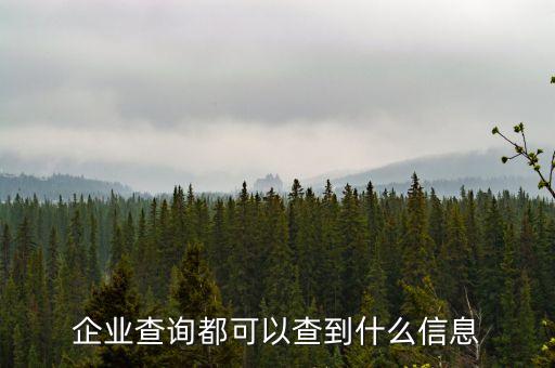 企业查询都可以查到什么信息