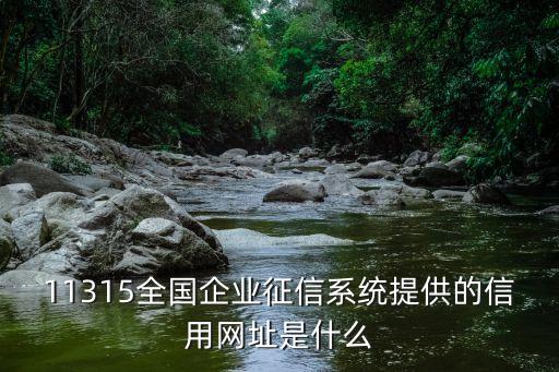 11315全国企业征信系统提供的信用网址是什么