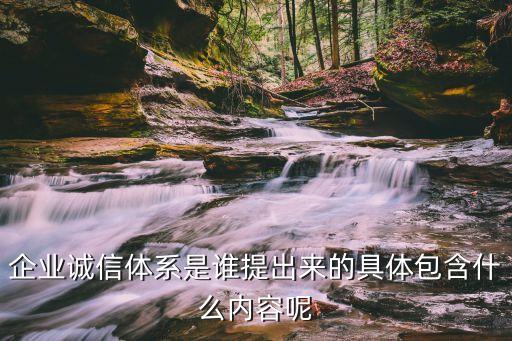 专业企业信用体系包括什么，企业诚信体系是谁提出来的具体包含什么内容呢
