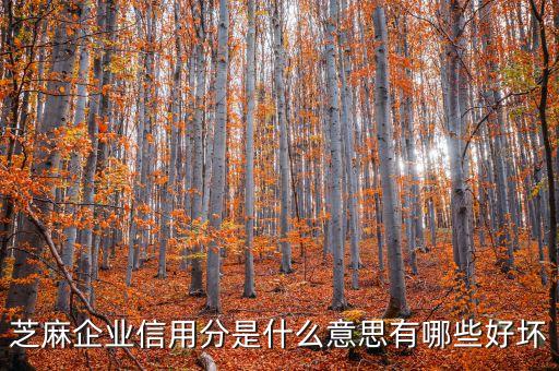 支付定企业信用是什么，支付信用是什么