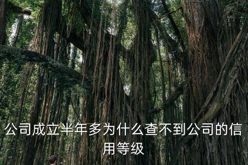 公司成立半年多为什么查不到公司的信用等级