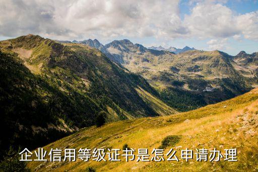 企业信用等级证书是怎么申请办理